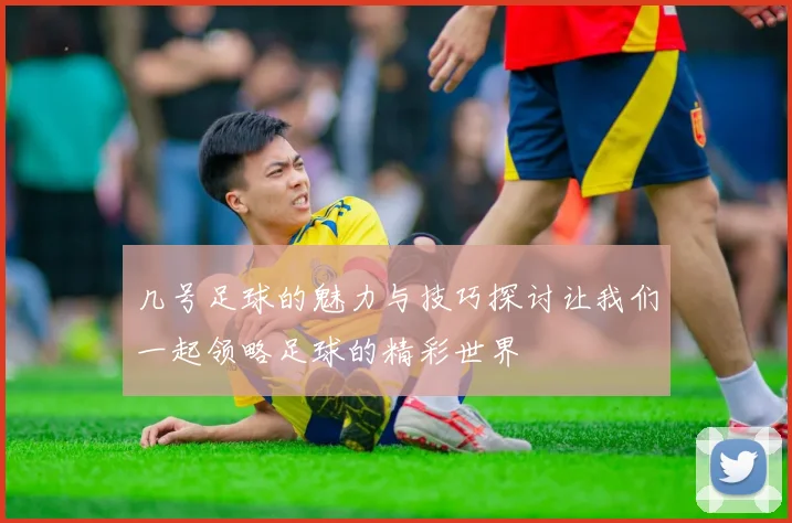 几号足球的魅力与技巧探讨让我们一起领略足球的精彩世界
