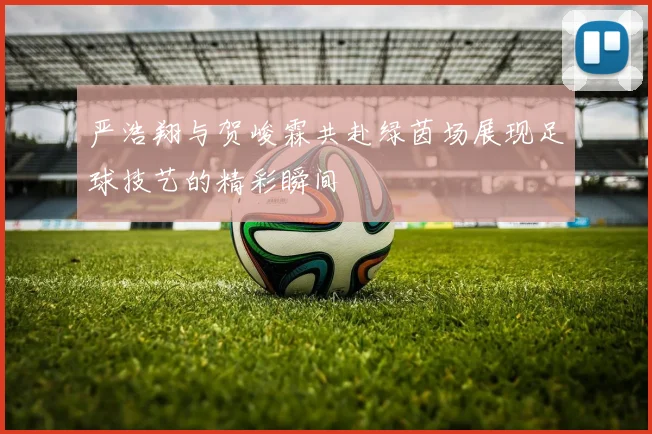 严浩翔与贺峻霖共赴绿茵场展现足球技艺的精彩瞬间