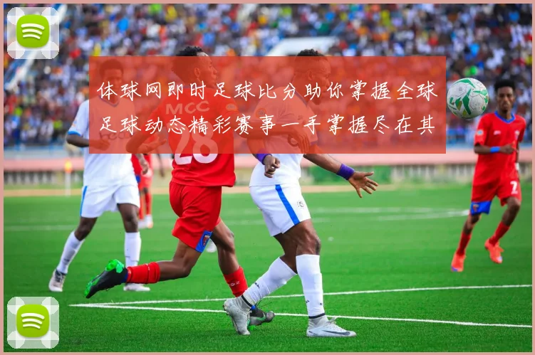 体球网即时足球比分助你掌握全球足球动态精彩赛事一手掌握尽在其中